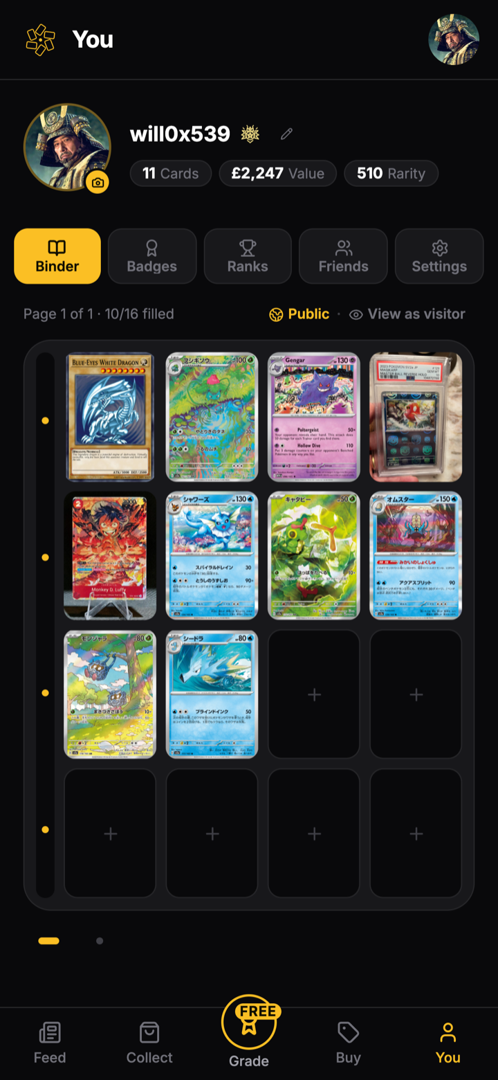 Hoard binder showing a curated trading card collection